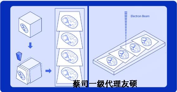 湖南蔡司湖南扫描电镜