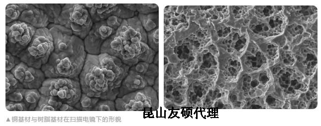 湖南蔡司湖南扫描电镜