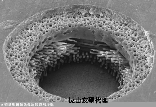 湖南蔡司湖南扫描电镜